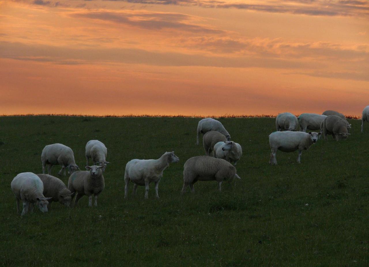 Haus-Halligblick-Ferienwohnung-Hamburger-Hallig Dagebüll المظهر الخارجي الصورة