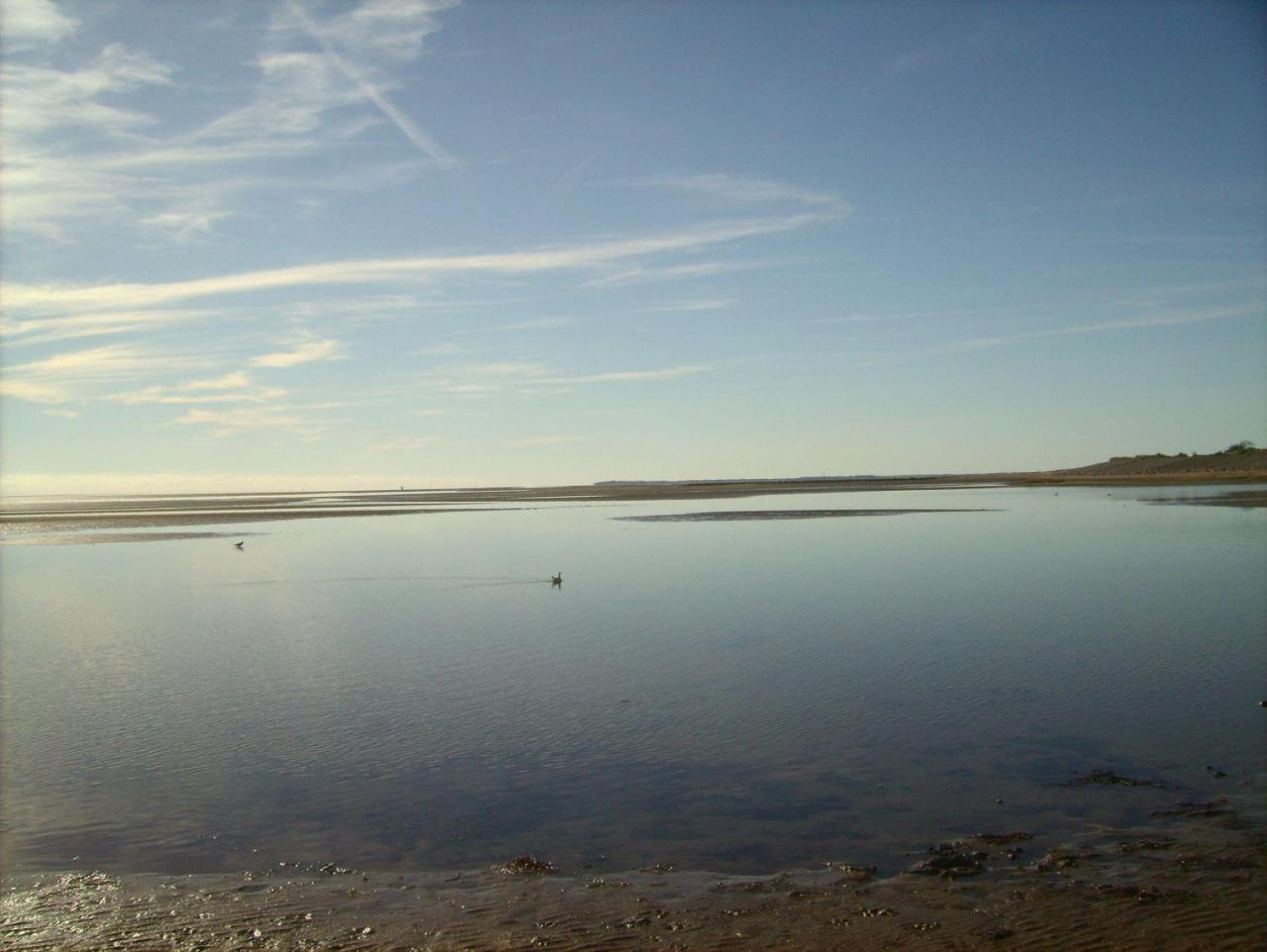 Haus-Halligblick-Ferienwohnung-Hamburger-Hallig Dagebüll المظهر الخارجي الصورة
