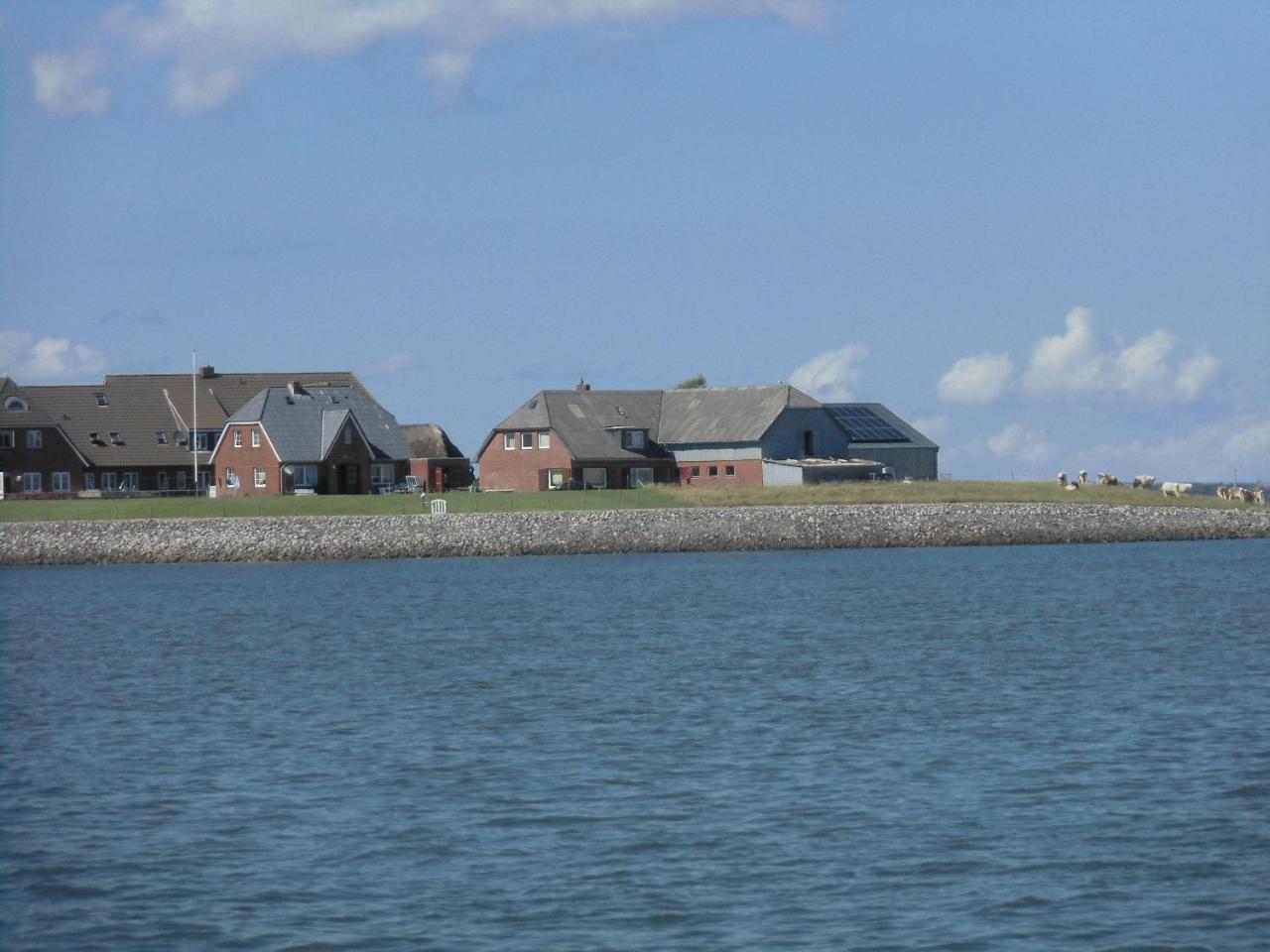 Haus-Halligblick-Ferienwohnung-Hamburger-Hallig Dagebüll المظهر الخارجي الصورة